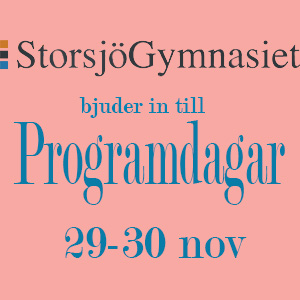 Du visar för närvarande Programdagar 29-30 nov