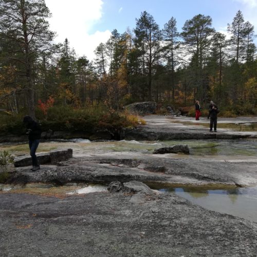 Utflykt till Forsaleden