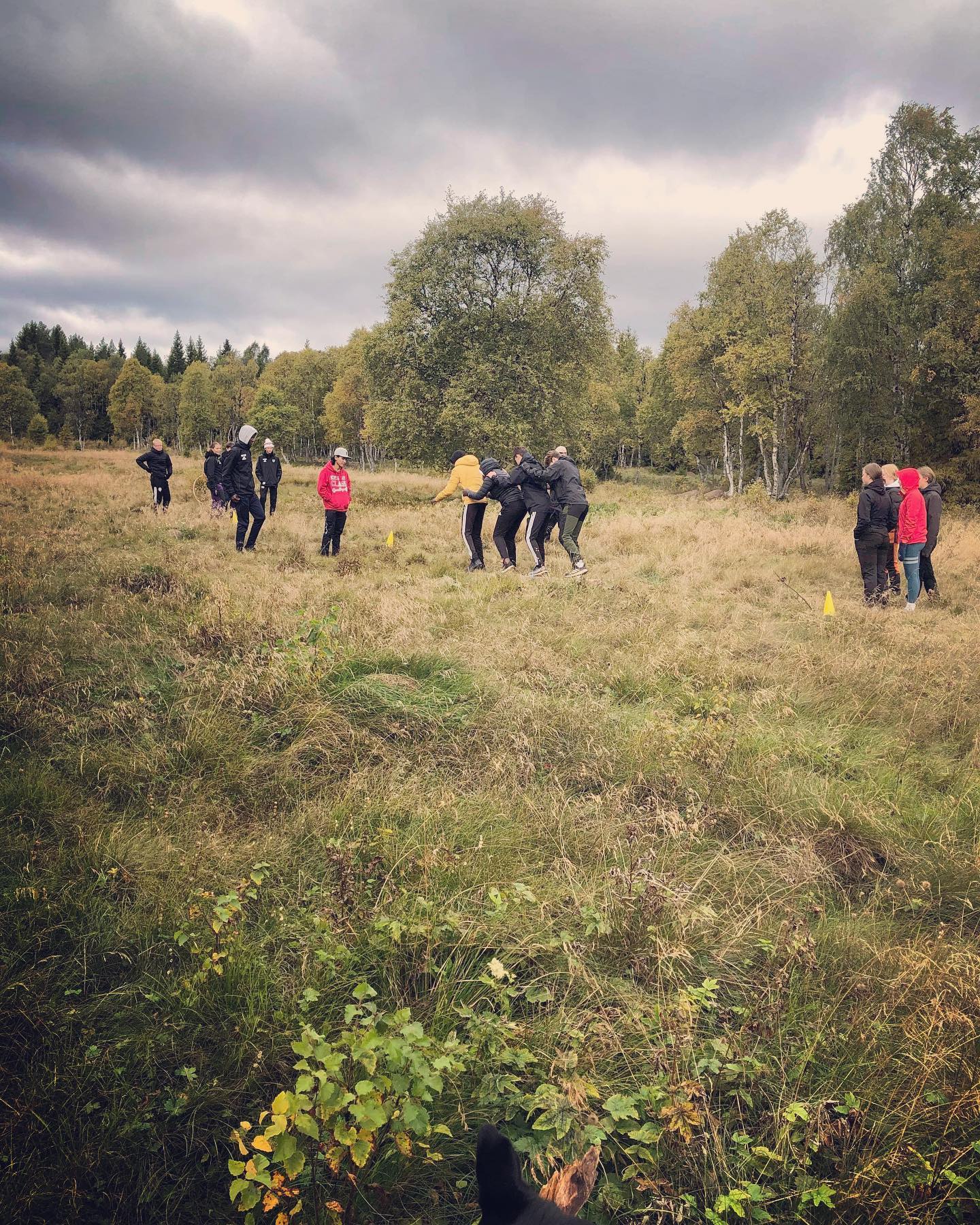 Du visar för närvarande Programdag åk 1