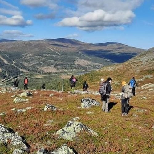 Utflykt till Bydalsfjällen