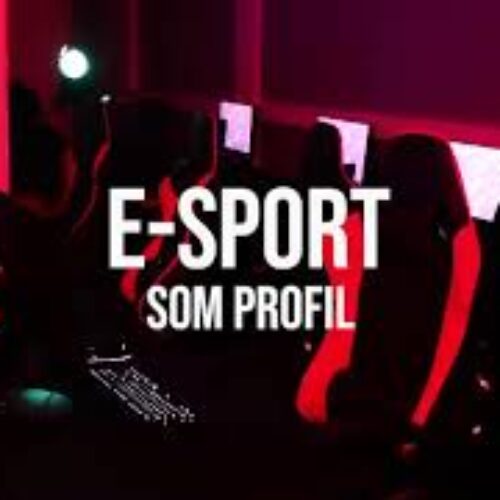 Nyhet om vår E-sportprofil!