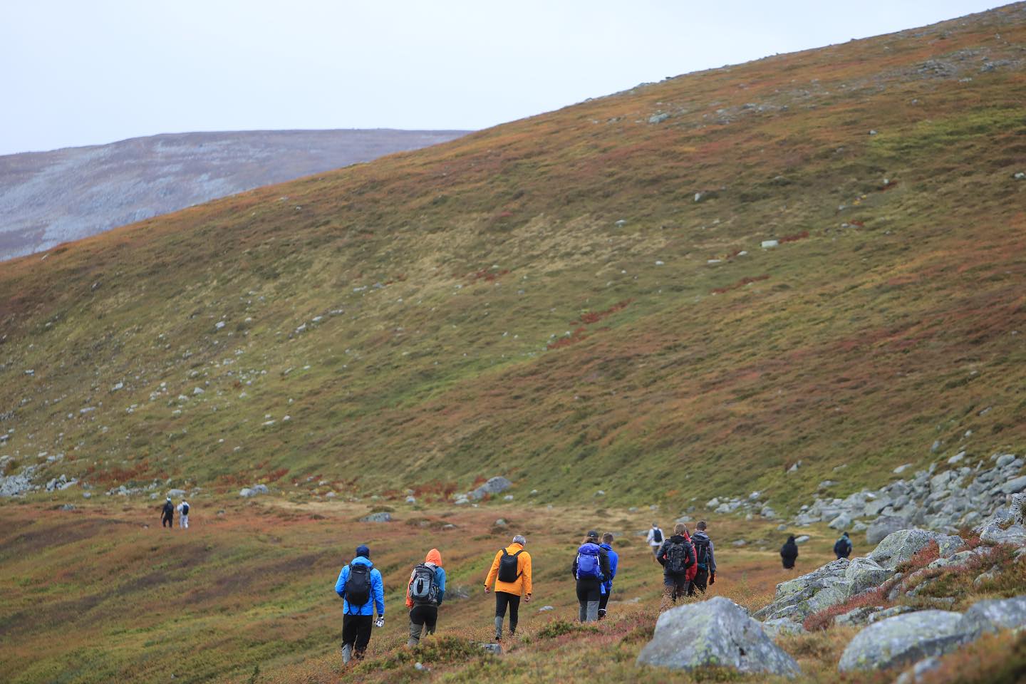 Läs mer om artikeln Aktivitetsdag i Bydalen